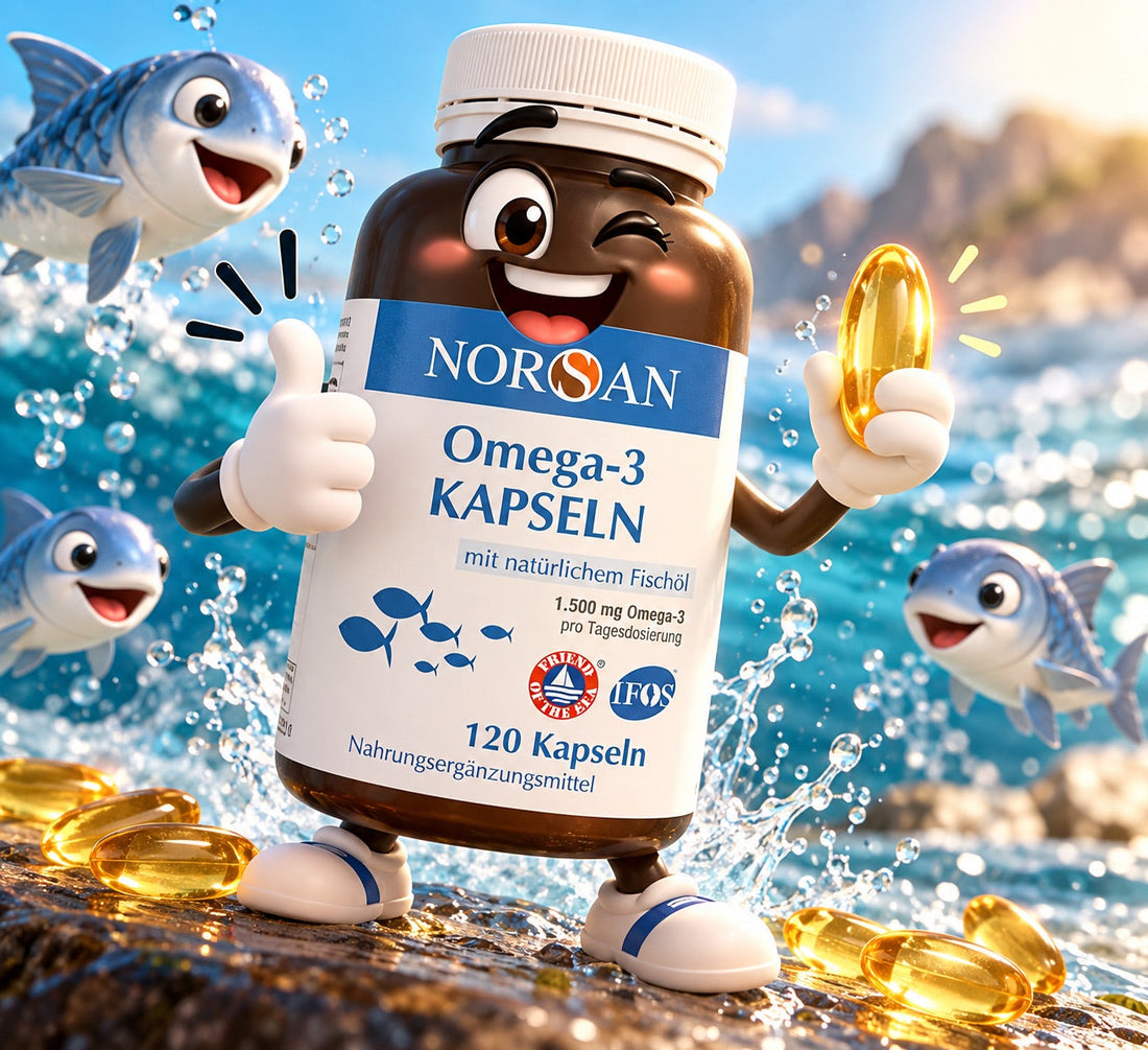 Omega-3-Fettsäuren – Grundlagen und Ernährungseinordnung